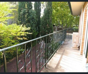 Leafy “Avenues” Living – Modern Comfort Near the City - Photo 2