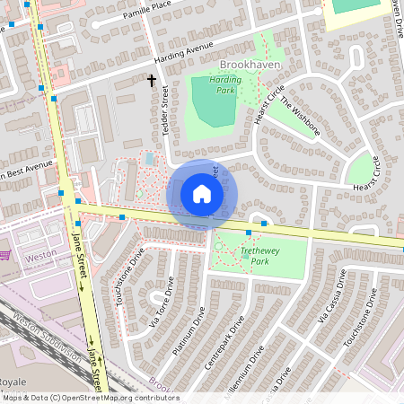 6A Tedder Street Unit# Bsmt, Toronto