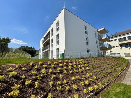 TOP 311 - Gallspach: Wohnen am Wasserschloss - Foto 5