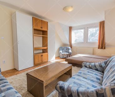 Semidetached for rent long term #100671 - Photo 4