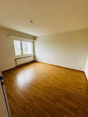 Singlewohnung mit Charme! - Foto 2