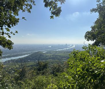 Ca. 3000 m² weitläufiges und stilvoll gestaltetes Gartenareal mit T... - Photo 6