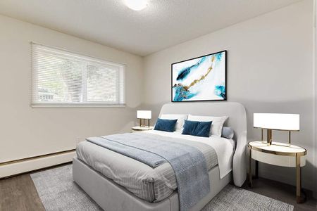 Renovated Suite - 1 Bedroom - Photo 2