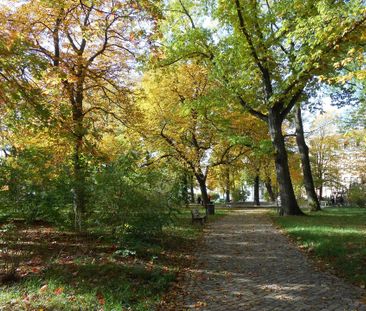 Hilbersdorf * Hübsches Apartment * 01.01.2026 - Photo 6