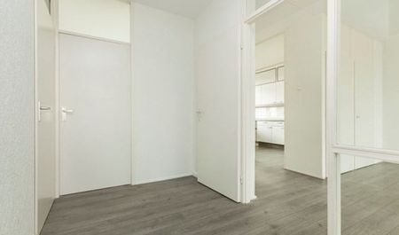 Cruquiuslaan 0ong, 2332 Leiden, Nederland - Foto 4