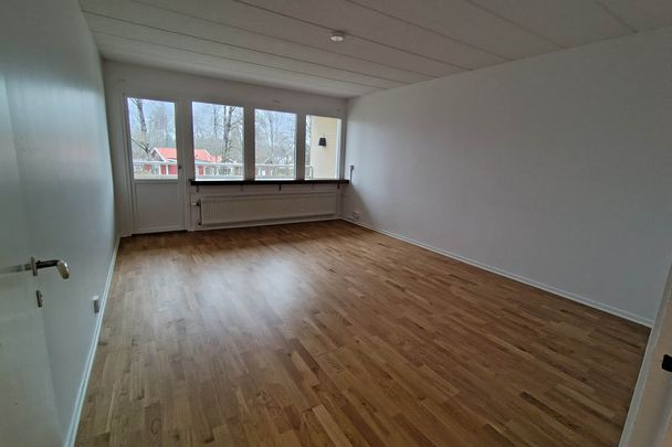 Fridhemsgatan 14 - Foto 1