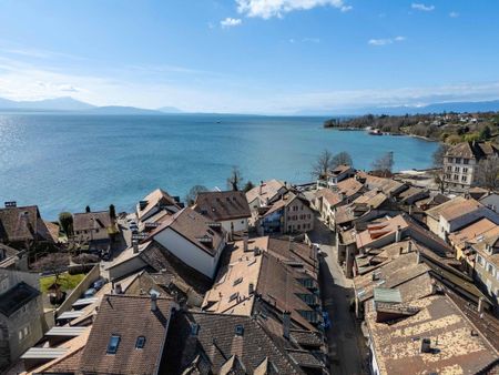 Charm in the heart of the Bourg and a stone's throw from Lake Geneva - Photo 5