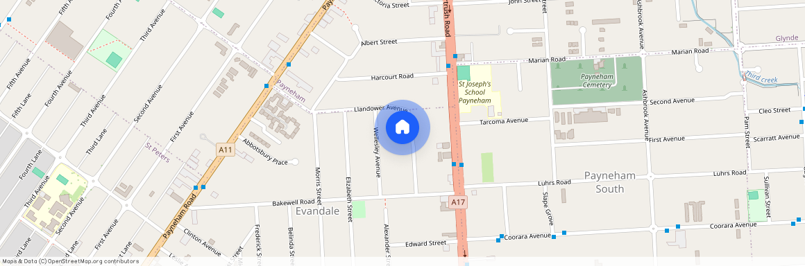 18 Llandower Avenue, SA 5069, Evandale