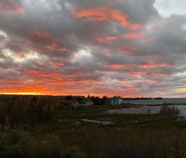 For Lease - 639 Johnston Park Avenue, Collingwood, Ontario - Photo 5