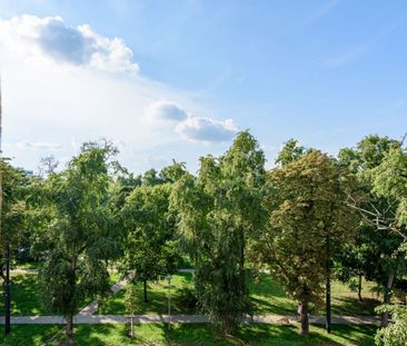 Kamienica | Wysokie i widne | obok Skweru - Фото 2