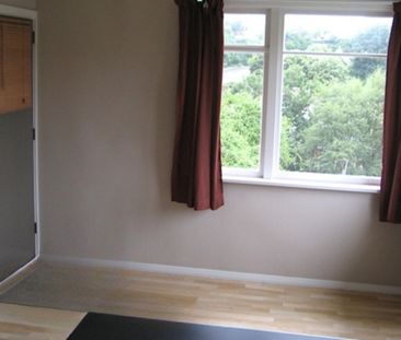 Tidy Three Bedroom - Photo 1