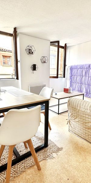 Location Appartement 1 pièce 23m² TOULOUSE 31000 - Photo 1