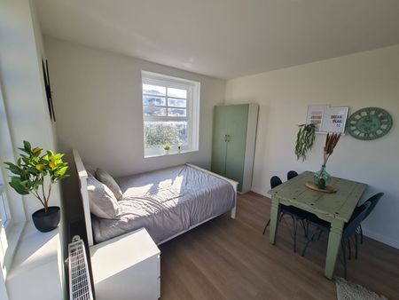 Te huur: Studio Groeneweg in Utrecht - Photo 4