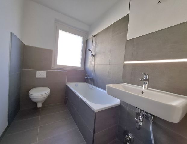 In den Leibnizgärten… - Photo 1