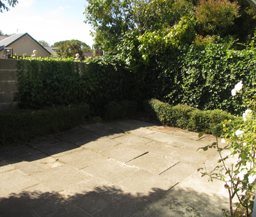 Sunny Three Bedroom Unit in Merivale Available 2nd Feburary 2026 - Photo 6