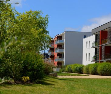 location Appartement T1 DE 36.75m² À AURAY - Photo 2