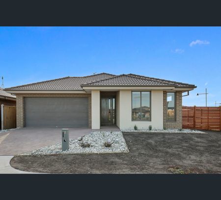 56 Wimble Street, Seymour, Vic 3660 - Photo 3