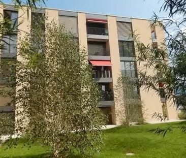 2.5 Zimmer, 56 m² - Photo 3