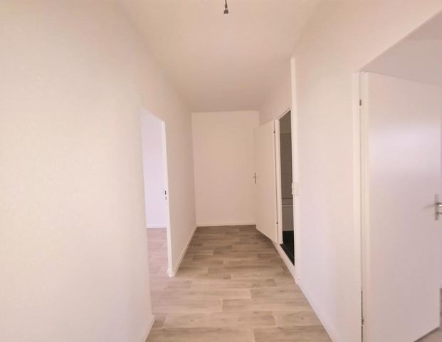 *Ohne Kaution aber mit Geschmack!* - Photo 1