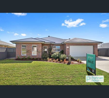 11 Woodside Road, Tamworth, NSW 2340 - Photo 2