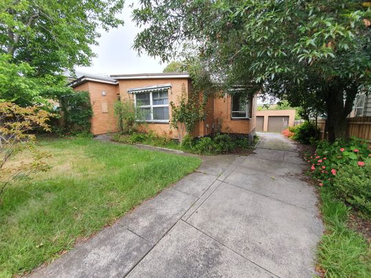 10 Evans Street, Chadstone VIC 3148 - House For Rent | Domain - Photo 1