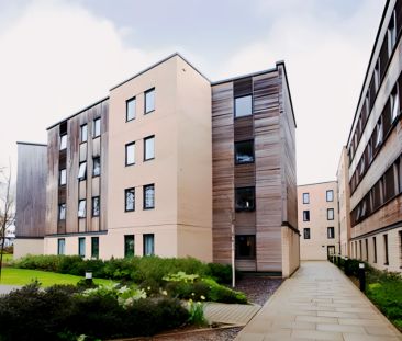 Extra Large Ensuite - Photo 6