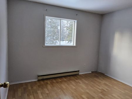 3405#14 Louis-Pasteur Trois-Rivières - Photo 5