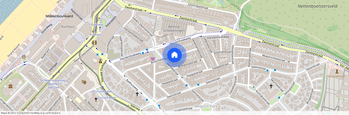 Bosschestraat 71, Belgisch Park, 2587HC, Den Haag