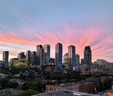 Condo for rent, Montréal (Ville-Marie) - Photo 3