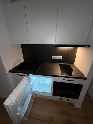 Erstbezug Mainz Zollhafen - Balkon, Einbauküche - Photo 1