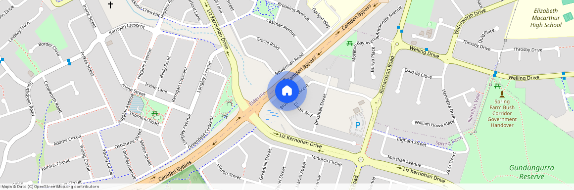 46 Bluebell Crescent, NSW 2570, Spring Farm