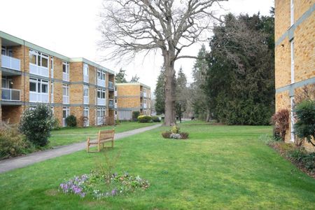 Chobham Road, Woking - Photo 4