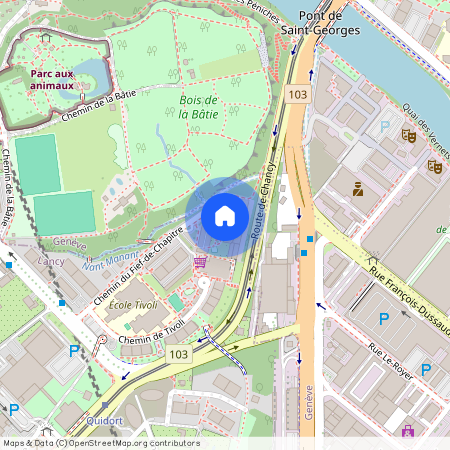 Chemin du Fief-de-Chapitre 3, 1213 Petit-Lancy