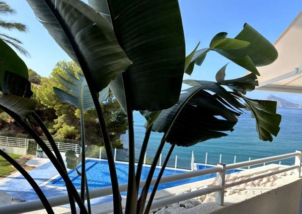 Altea