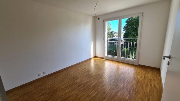 Spacious 3.5 room apartment on the 2nd floor - approx. 85m2 - Photo 1