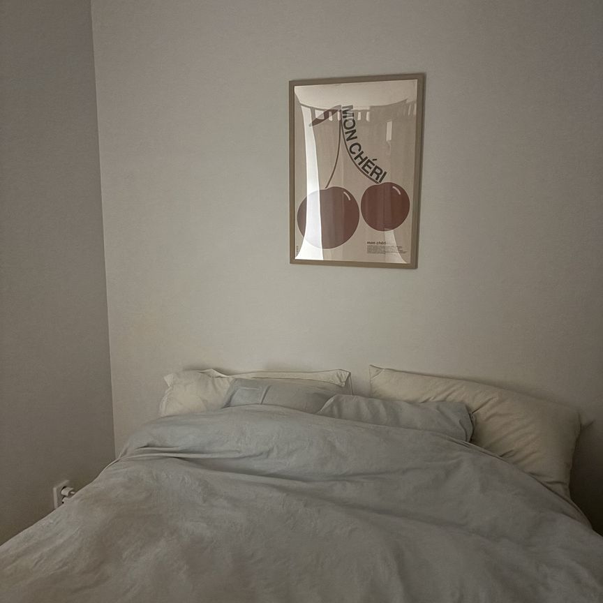 Portalgatan, Uppsala - Foto 1