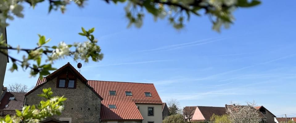 3-Zimmer-Wohnung mit Terrasse & Garten – ruhige Lage - Foto 1