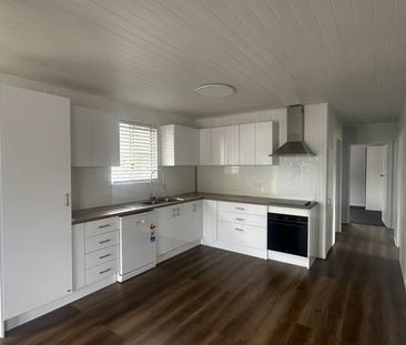 Low Maintenance Renovated Home - Photo 4