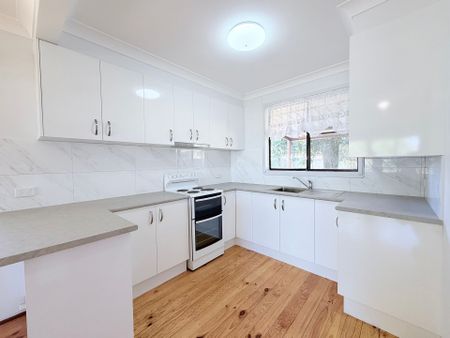 Ray White Real Estate Parkes - Photo 5