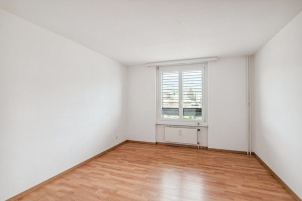 Rénové - lumineux - superbe vue - bon emplacement - Photo 1