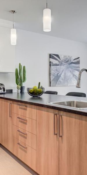 4 1/2 St-Georges de Beauce, logement à louer, Disponible dès maintenant - Photo 1