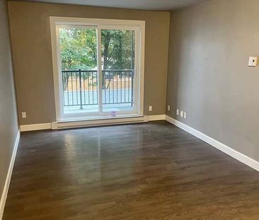 Magnifique 3½ – Disponible JUILLET - Photo 2