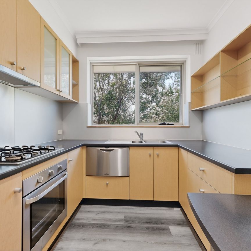 STYLISH REFRESHED APARTMENT IN PRIME KEW LOCATION - Photo 1