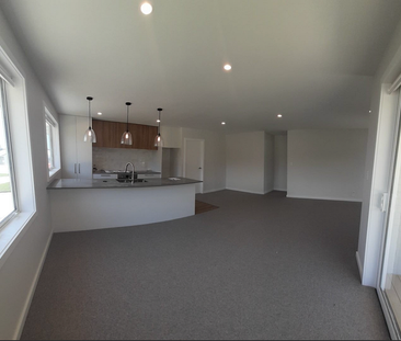 4 years old beautiful, fully fenced in Omokoroa - Photo 4