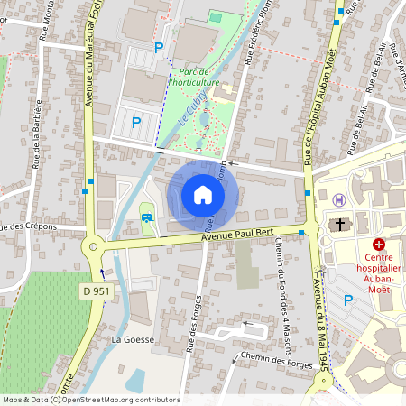 1 IMPASSE DES TILLEULS, 51200, Epernay