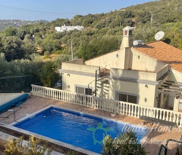 TH2023419 - Beautiful four bedroom house - Photo 3