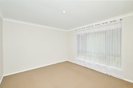 16 Hamlyn Drive, Port Macquarie NSW 2444 - House For Rent | Domain - Photo 2