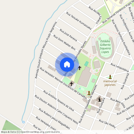 Rua Vereador Alcídes Ramos Antunes, 15, Residencial Morumbi, Lins, São Paulo, 16400630