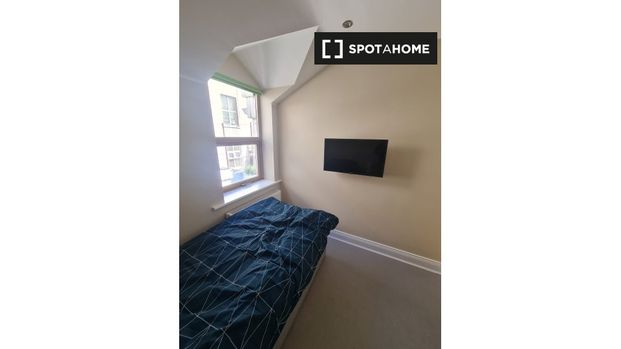 Room for rent in 4-bedroom house in Dublin - Photo 1