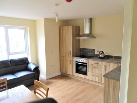 Great Apartment, 101a Rugby Avenue, Queens University Quarter, Belfast - Photo 5